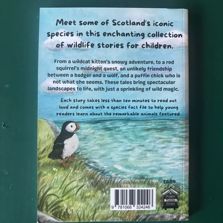 The Ugly Puffling and Other Stories - back cover 